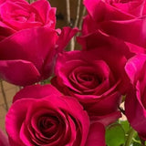 Valentine's Day Roses